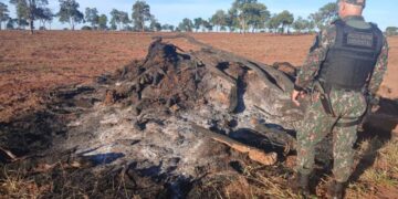 Produtor é multado em R$ 51 mil por queimar vegetação sem autorização na MS-040