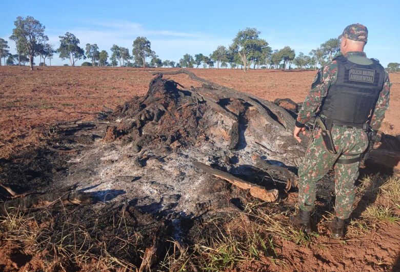Produtor é multado em R$ 51 mil por queimar vegetação sem autorização na MS-040