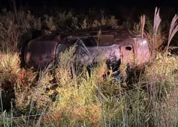 Motorista morre após capotamento em rodovia de Mundo Novo