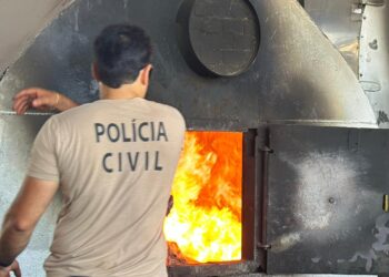 Operação CODESUL II elimina 114 toneladas de drogas nos estados do Sul e Centro-Oeste