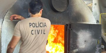 Operação CODESUL II elimina 114 toneladas de drogas nos estados do Sul e Centro-Oeste