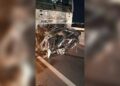 Motorista morre após carro partir ao meio em colisão com caminhão na BR-262