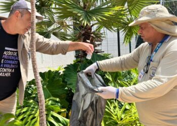 Mato Grosso do Sul ultrapassa 8 mil casos confirmados de dengue em 2025 Mato Grosso do Sul ultrapassa 8 mil casos confirmados de dengue em 2025