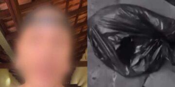 Mãe de tatuador acusado de matar gatos relata desespero: “tive que sair de casa, eu quem moro lá”