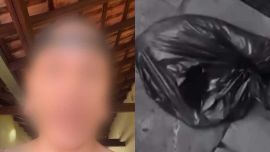 Mãe de tatuador acusado de matar gatos relata desespero: “tive que sair de casa, eu quem moro lá”