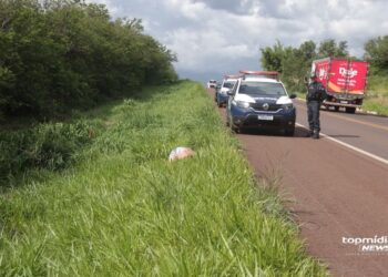 Mulher é amarrada e executada com tiros na cabeça às margens da BR-262 Mulher é amarrada e executada com tiros na cabeça às margens da BR-262