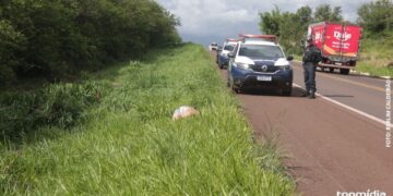 Mulher é amarrada e executada com tiros na cabeça às margens da BR-262