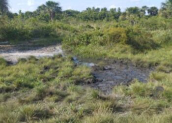 MP investiga dano ambiental às margens do Rio Pombo