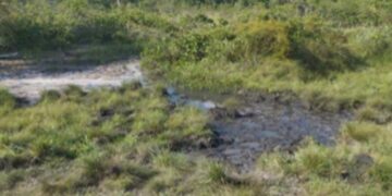 MP investiga dano ambiental às margens do Rio Pombo