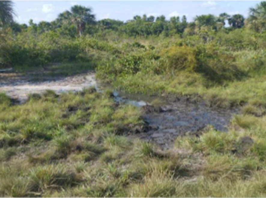 MP investiga dano ambiental às margens do Rio Pombo