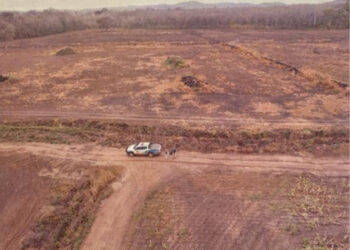 Fazenda é investigada por queimadas e drenagem irregular