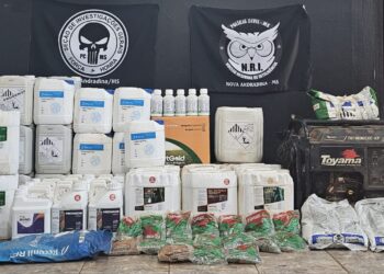 Fazenda tem R$ 65 mil em objetos furtados (vídeo) Fazenda tem R$ 65 mil em objetos furtados (vídeo)