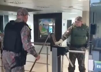 Cobra criada? De rolê no TCE, jiboia é resgatada pela PMA