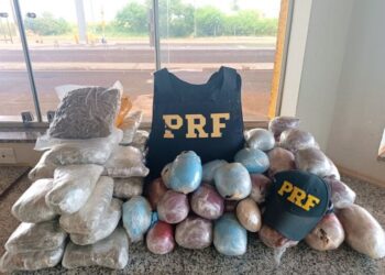 Estudante de medicina é preso transportando quase 39 kg de drogas