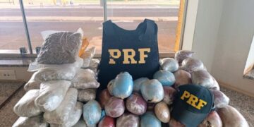 Estudante de medicina é preso transportando quase 39 kg de drogas