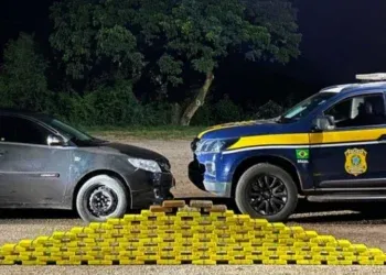 Fuga termina com apreensão de 111 kg de cocaína na BR-262 Fuga termina com apreensão de 111 kg de cocaína na BR-262