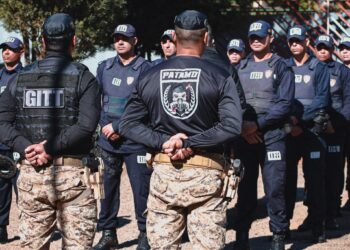 GCM apreende 2,5 toneladas de drogas e captura 157 foragidos em um ano