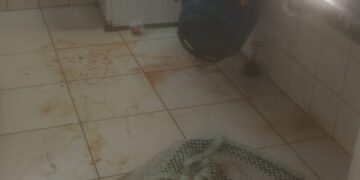 “Pebas” baleados e unidade de saúde saqueada preocupam moradores no Portal Caiobá