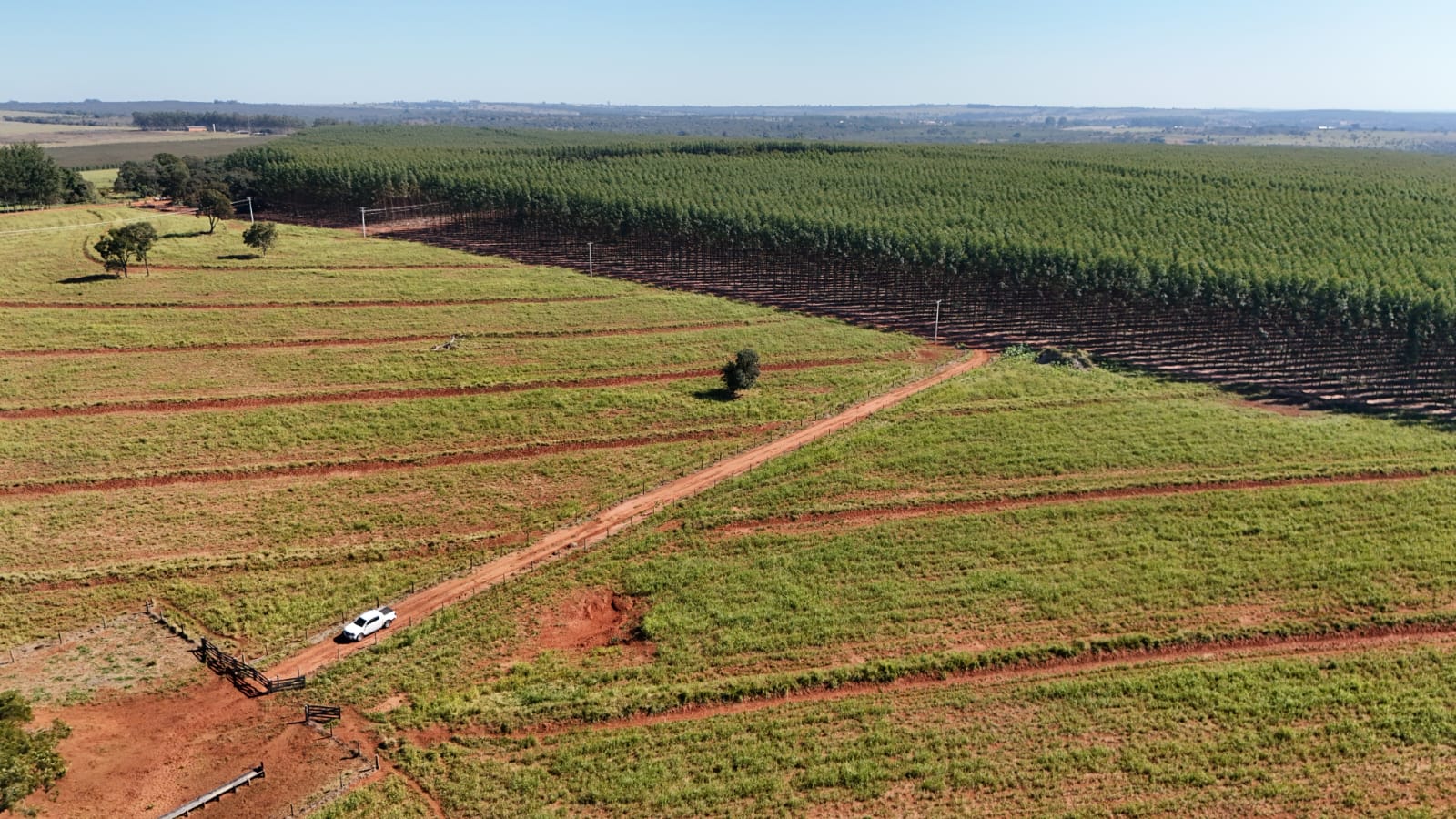 Campo Grande sedia encontro estratégico de logística florestal