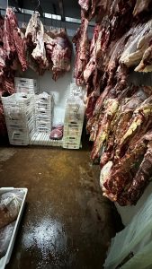 Mais de 2 toneladas de carnes impróprias são apreendidas e descartadas em supermercado da Capital