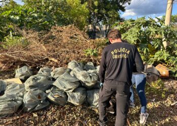 Dupla é presa por descarte irregular de caixas d’água de amianto em terreno público