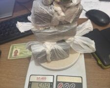 Cão policial indica esconderijo de drogas durante operação