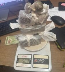 Cão policial indica esconderijo de drogas durante operação