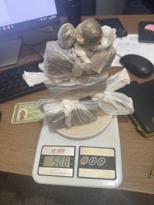 Cão policial indica esconderijo de drogas durante operação