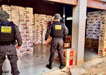 Homem é preso e dois veículos apreendidos durante ações do DOF após denúncias anônimas