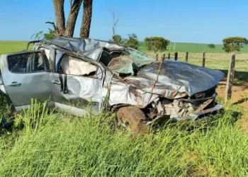 Caminhonete capota na BR-060 e deixa feridos