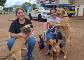 Caravana da Castração inicia atendimento em cinco municípios de MS