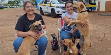 Caravana da Castração inicia atendimento em cinco municípios de MS