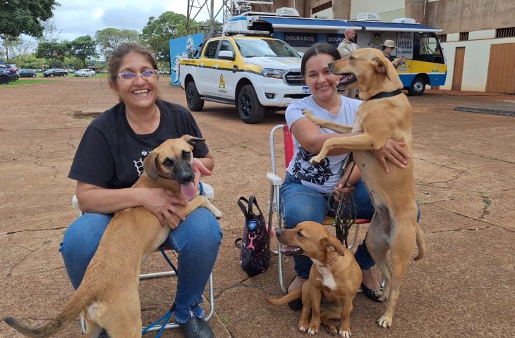 Caravana da Castração inicia atendimento em cinco municípios de MS