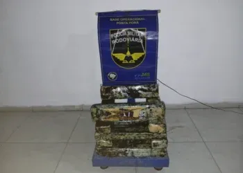 Adolescente é apreendido com mais de 10 kg de maconha em ônibus na MS-164