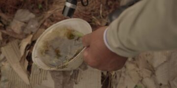 MS registra mais de 130 casos prováveis de dengue no início de 2026