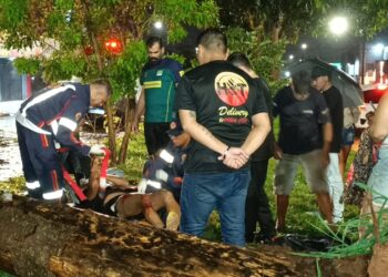 Temporal derruba árvore e deixa motociclista ferido