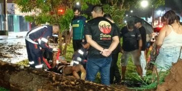 Temporal derruba árvore e deixa motociclista ferido