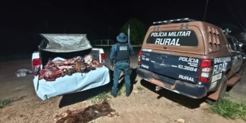 Homem é preso e carcaça de animal é apreendida em fiscalização rural