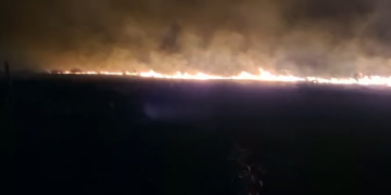 Estado reforça prevenção e combate a incêndios no Pantanal diante do aumento de focos