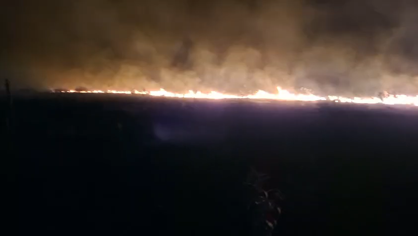 Estado reforça prevenção e combate a incêndios no Pantanal diante do aumento de focos