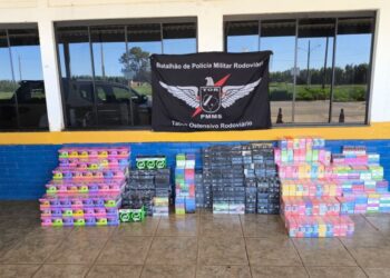 Apreensão de carga irregular gera prejuízo de R$ 431 mil ao crime Apreensão de carga irregular gera prejuízo de R$ 431 mil ao crime