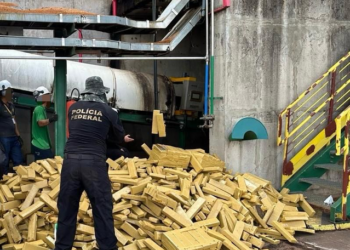 Mais de 8 toneladas de maconha são incineradas