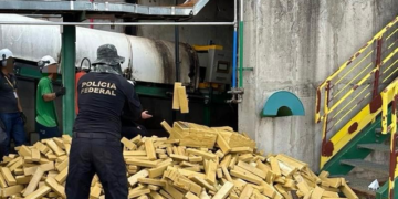 Mais de 8 toneladas de maconha são incineradas