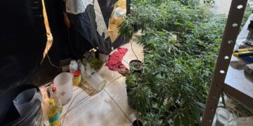 Residência abrigava estrutura completa para produção ilegal de maconha