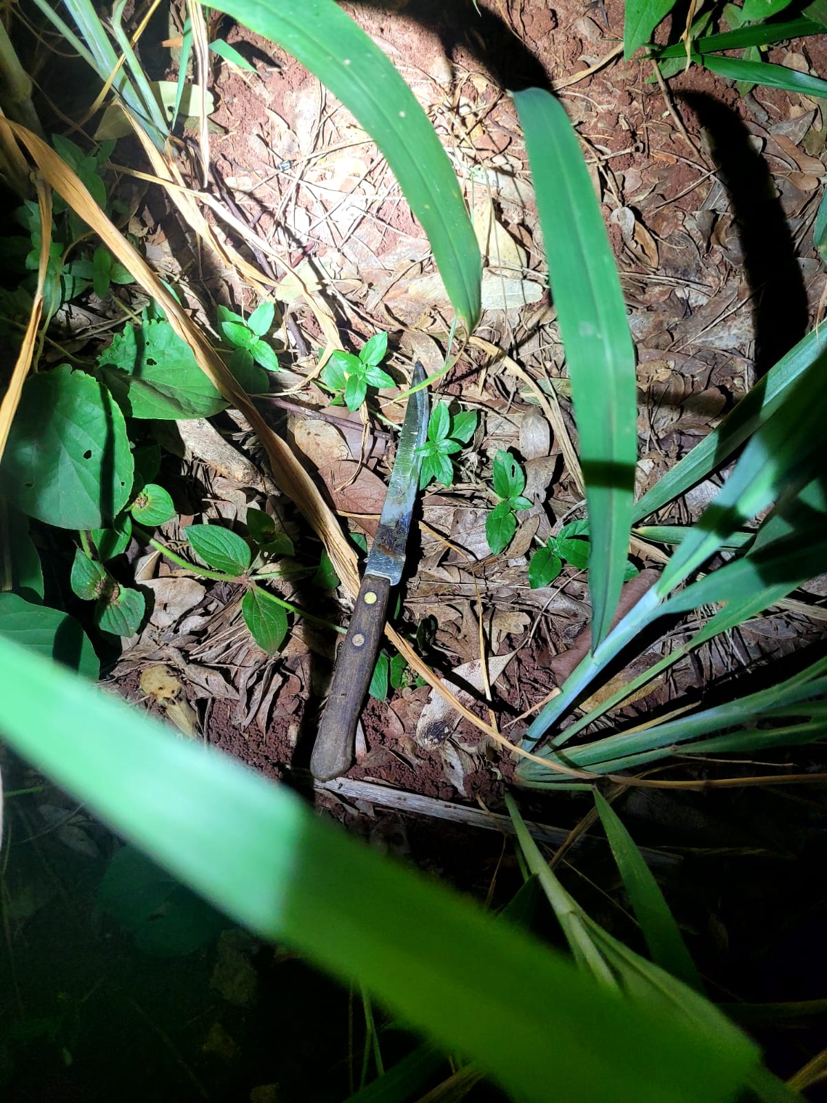 Homem é preso por tentativa de estupro após abordar corredora em Avenida