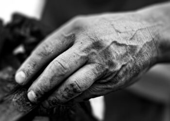 Governo de MS lança Plano Estadual de Erradicação do Trabalho Escravo