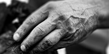 Governo de MS lança Plano Estadual de Erradicação do Trabalho Escravo