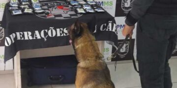 Mulher é presa com 2,5 kg de haxixe em ônibus interestadual