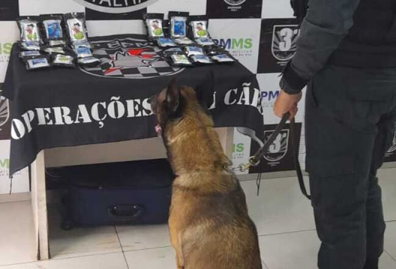 Mulher é presa com 2,5 kg de haxixe em ônibus interestadual