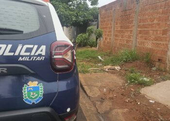 Filhote de 6 meses é morta após pitbulls invadirem casa no Nova Lima